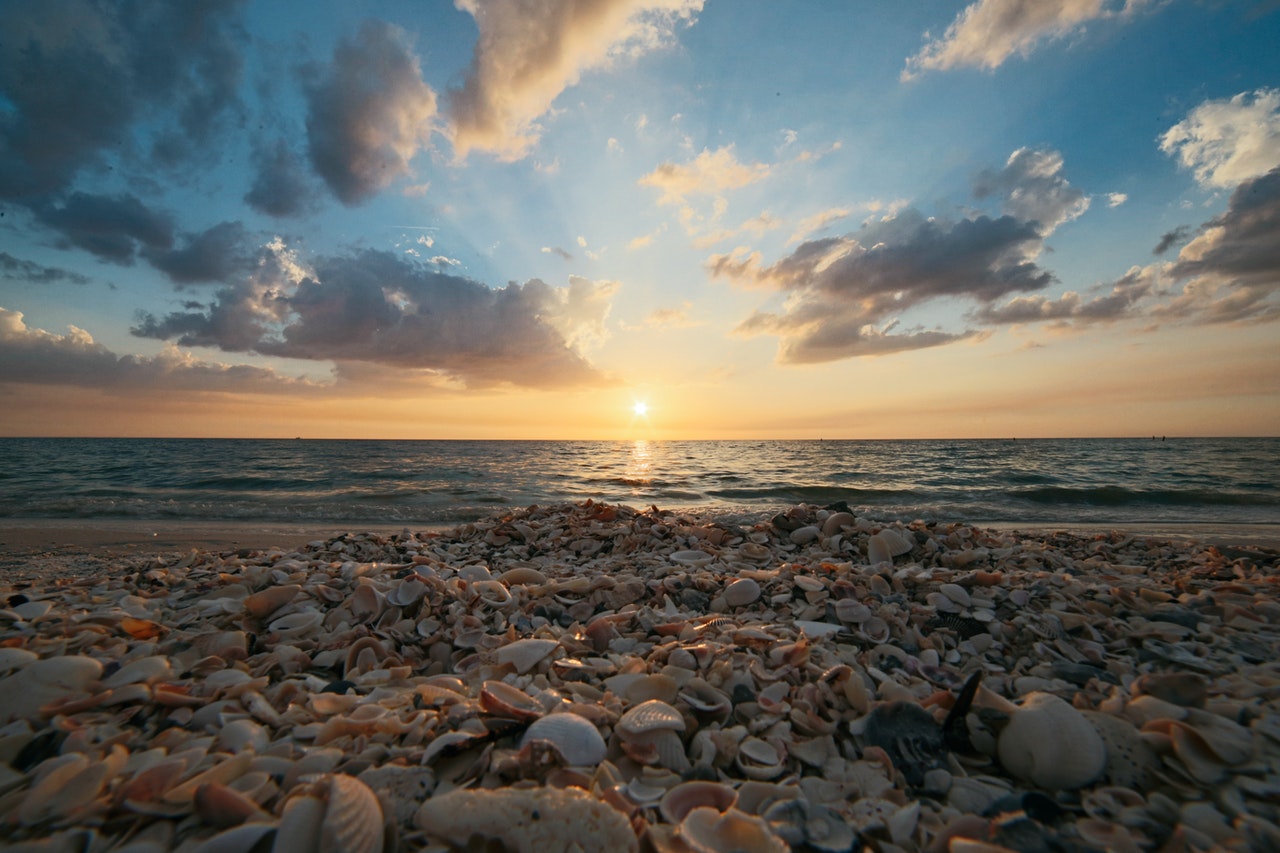 The Ultimate Guide to Shelling on Sanibel Island